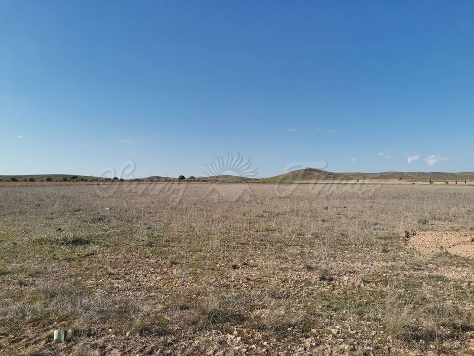 Helårsgrund i Yecla, Murcia - foto 5